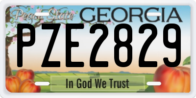 GA license plate PZE2829
