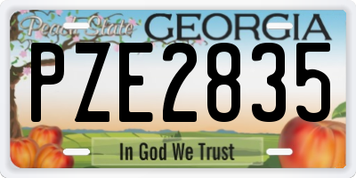 GA license plate PZE2835