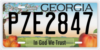 GA license plate PZE2847