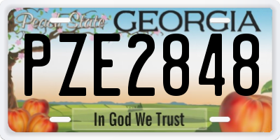 GA license plate PZE2848