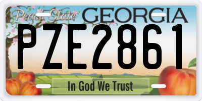 GA license plate PZE2861