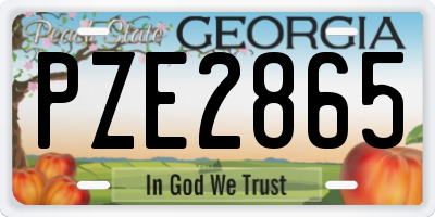 GA license plate PZE2865