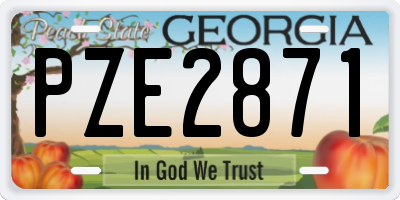 GA license plate PZE2871