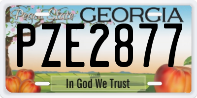 GA license plate PZE2877