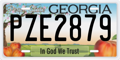 GA license plate PZE2879