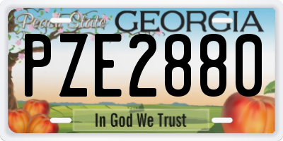 GA license plate PZE2880