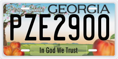 GA license plate PZE2900