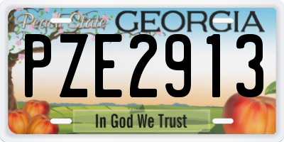 GA license plate PZE2913