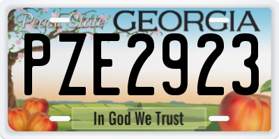 GA license plate PZE2923