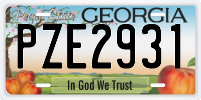 GA license plate PZE2931