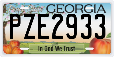 GA license plate PZE2933