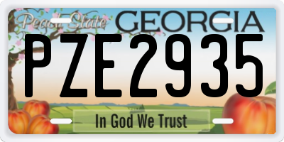 GA license plate PZE2935