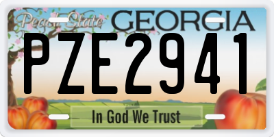 GA license plate PZE2941