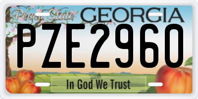 GA license plate PZE2960