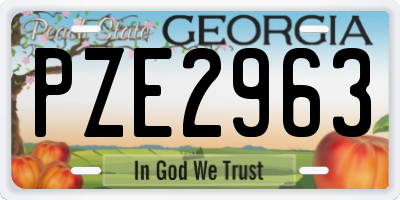 GA license plate PZE2963