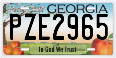 GA license plate PZE2965