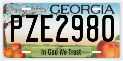 GA license plate PZE2980