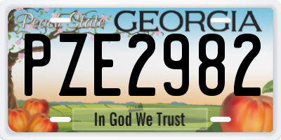 GA license plate PZE2982