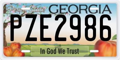 GA license plate PZE2986