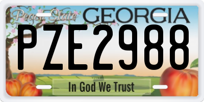 GA license plate PZE2988