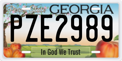 GA license plate PZE2989