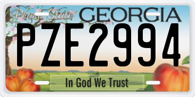 GA license plate PZE2994