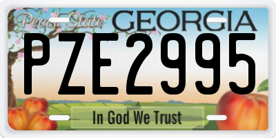 GA license plate PZE2995