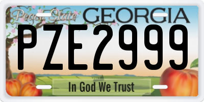 GA license plate PZE2999