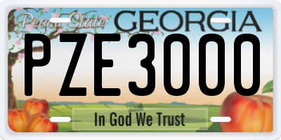 GA license plate PZE3000