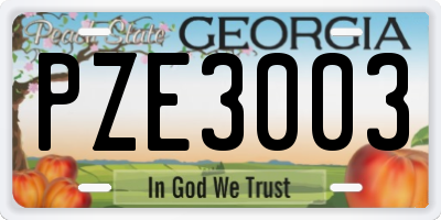 GA license plate PZE3003