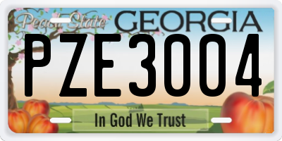 GA license plate PZE3004