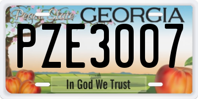 GA license plate PZE3007