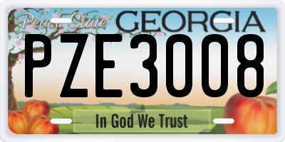 GA license plate PZE3008