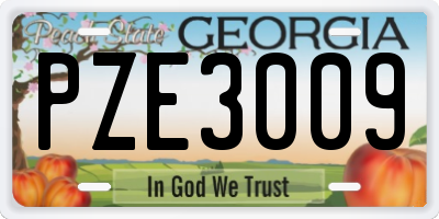 GA license plate PZE3009