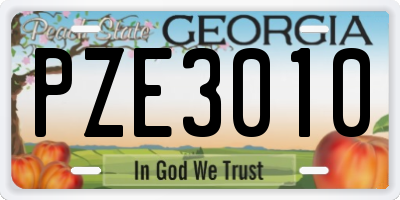 GA license plate PZE3010