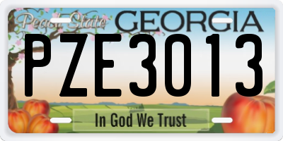 GA license plate PZE3013