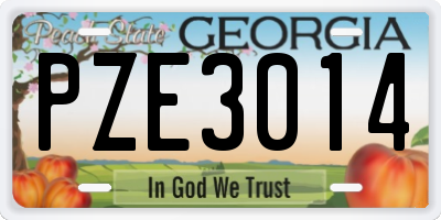 GA license plate PZE3014