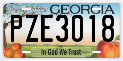 GA license plate PZE3018