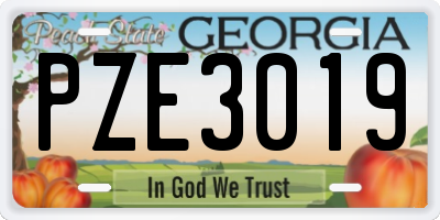 GA license plate PZE3019
