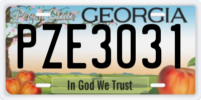 GA license plate PZE3031