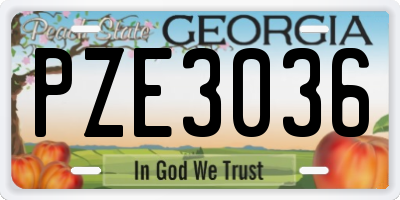 GA license plate PZE3036