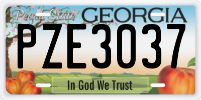 GA license plate PZE3037