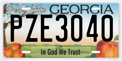 GA license plate PZE3040