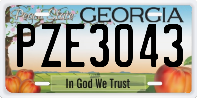 GA license plate PZE3043