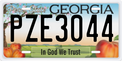 GA license plate PZE3044