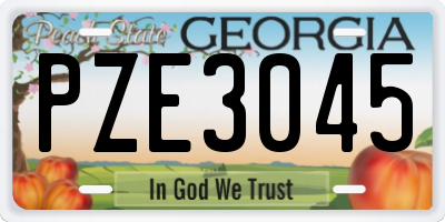 GA license plate PZE3045
