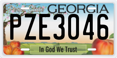 GA license plate PZE3046