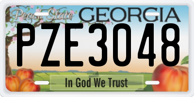 GA license plate PZE3048