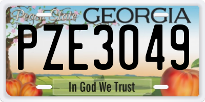 GA license plate PZE3049