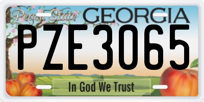 GA license plate PZE3065